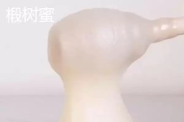 椴树蜜和槐花蜜哪个好，后者口感和色泽都要更好插图1