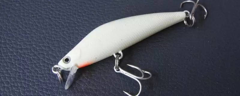 路亚怎么上软饵比较好 ,路亚使用软饵有什么要点-会东网