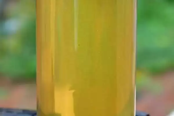 苜蓿蜜是什么蜜，采集紫花苜蓿花蜜酿制成的插图3