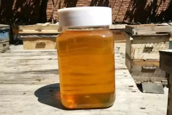 天然荆条蜜的价格，一斤通常超过40元插图4