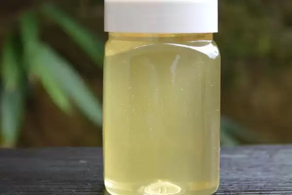 苜蓿蜜是什么蜜，采集紫花苜蓿花蜜酿制成的插图1