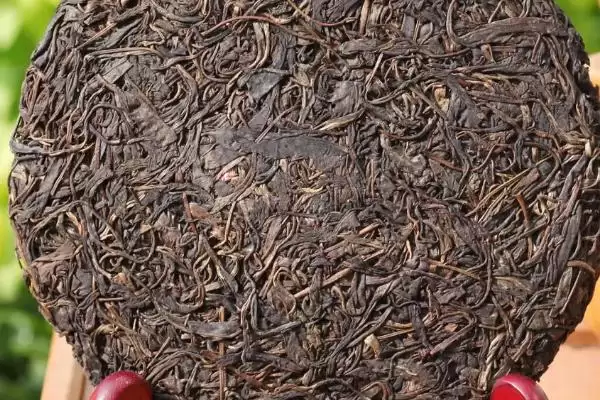 普洱茶年份的奥秘：原料优质年份越久越好的原因插图3