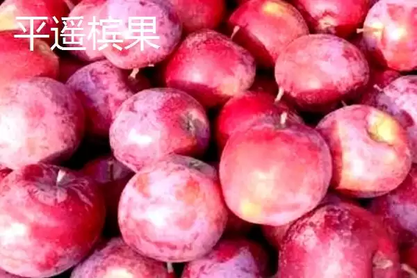 山西晋中市的特产，是国家级文化生态保护实验区插图4