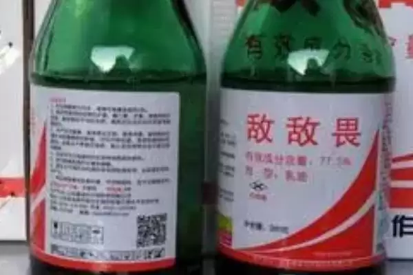 知悉蜈蚣惧怕对象的方法和重点？养鸡要做好哪些蜈蚣防治关联？插图7
