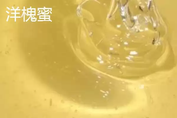 洋槐蜜好还是荆花蜜好，洋槐蜜价格更高插图1