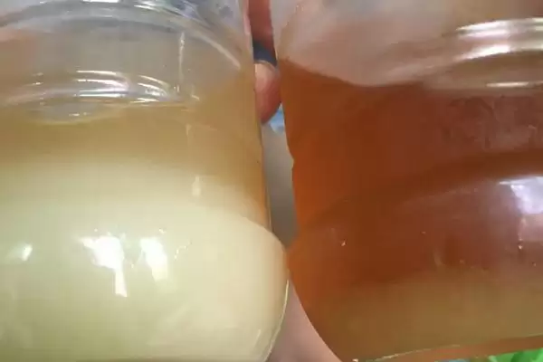 蜂蜜结晶是不是假蜂蜜，蜜种不同结晶程度不同插图2