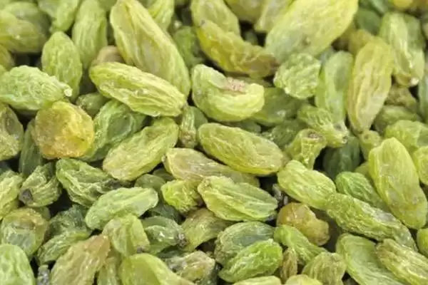 葡萄种类分类揭秘:酿酒系列和鲜食系列的特点对比插图6 葡萄种类分类揭秘:酿酒系列和鲜食系列的特点对比插图6