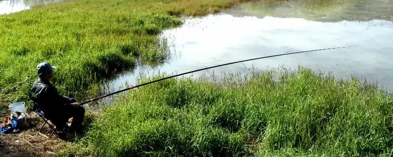 竞技竿和黑坑竿的区别 ,竞技竿与黑坑竿在哪些方面不同-会东网