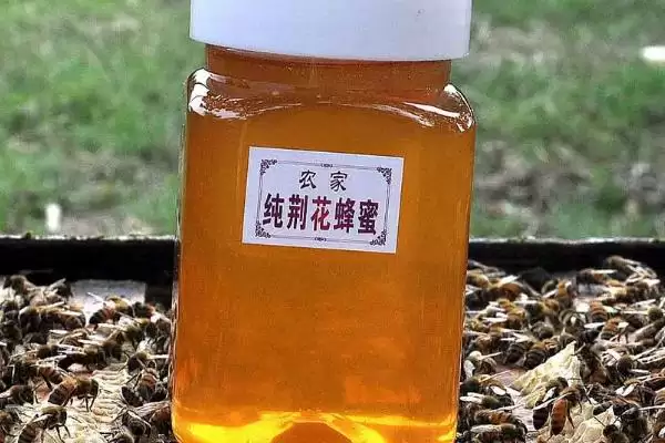 桐花蜜简介，蜜源包括玄参科泡桐、大戟科油桐等插图1