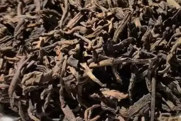 普洱茶年份的奥秘：原料优质年份越久越好的原因插图1