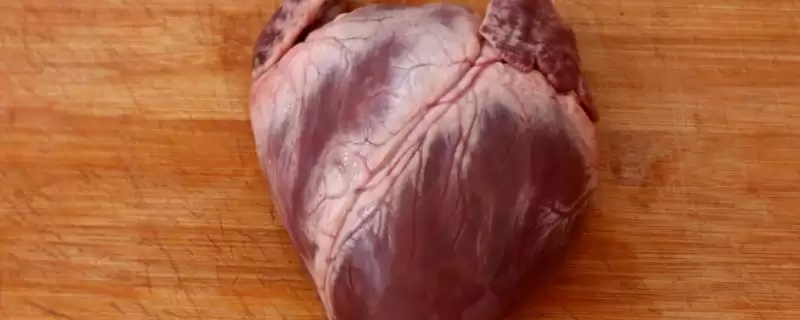 认识猪内脏的方法和重点？养猪要做好哪些猪体结构了解细节？-会东网