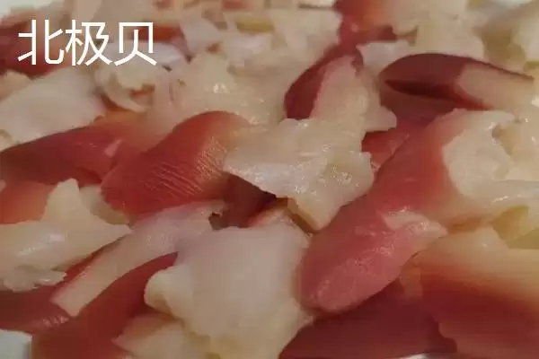 可食用贝类海鲜大盘点：蚬子、蛏子、北极贝等你品尝插图4