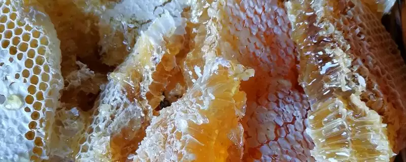 蜂蜜怎么喝，饭后可冲泡蜂蜜水-会东网