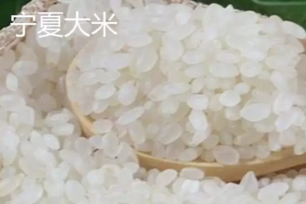 宁夏特产明星:灵武长枣成为中国国家地理标志产品的传奇插图7 宁夏特产明星:灵武长枣成为中国国家地理标志产品的传奇插图7