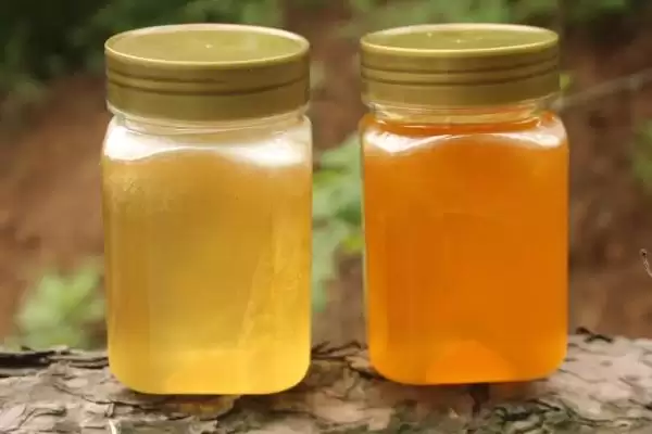 土蜂蜜由哪种蜜蜂生产，一般是指中蜂插图3