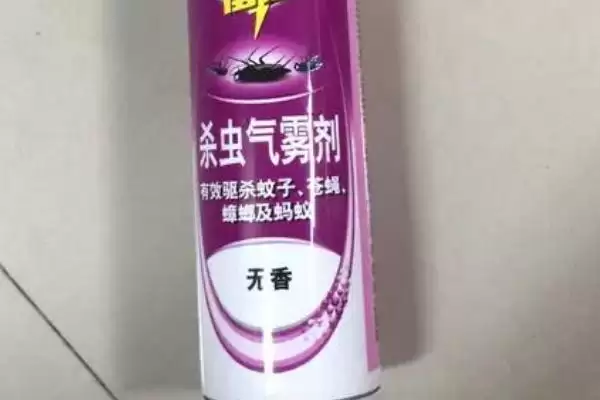 蚂蚁最怕什么东西 ,洗衣粉和杀虫剂对蚂蚁怎样插图2