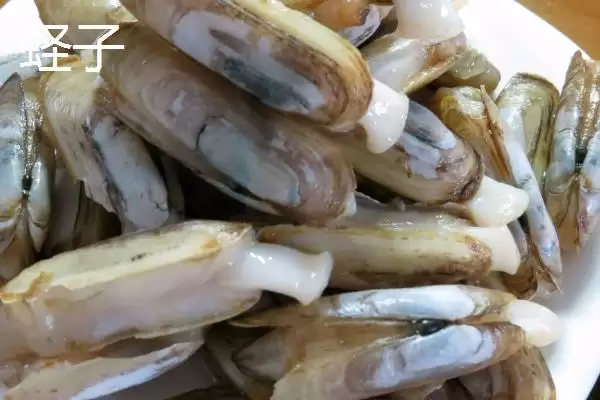 可食用贝类海鲜大盘点：蚬子、蛏子、北极贝等你品尝插图3