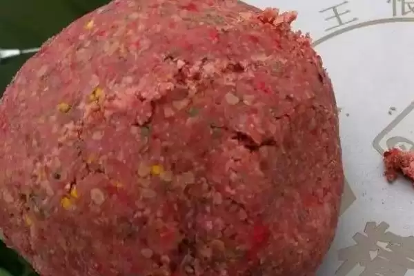 螺鲤怎么开拉饵比较好 ,螺鲤开拉饵要经过哪些步骤插图2