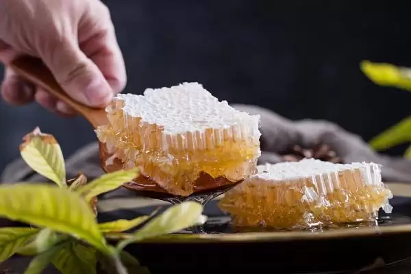 蜂巢蜜的食用方法，直接放在嘴中咀嚼即可插图4