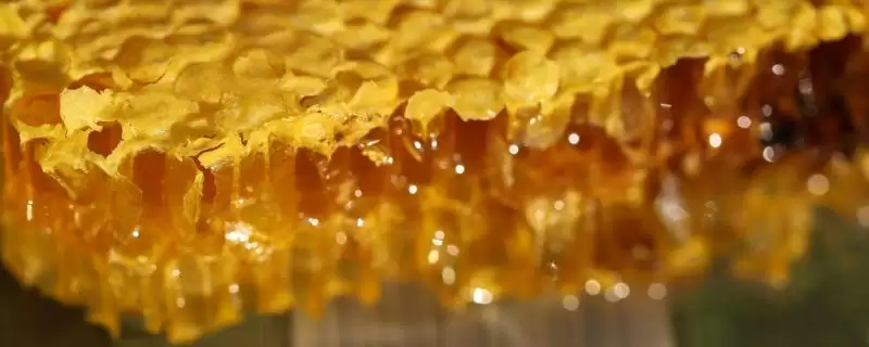 正宗洋槐蜜的特征，通常呈透明的水白色-会东网