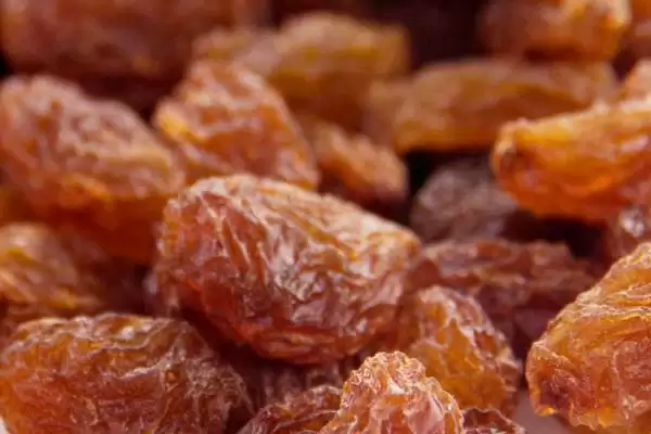 葡萄种类分类揭秘:酿酒系列和鲜食系列的特点对比插图7 葡萄种类分类揭秘:酿酒系列和鲜食系列的特点对比插图7