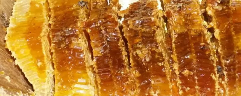 什么是油菜花蜂蜜，属易结晶蜂蜜-会东网