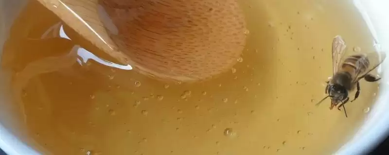 百花蜜和荆条蜜的区别，色泽和口感上略微有点不同-会东网