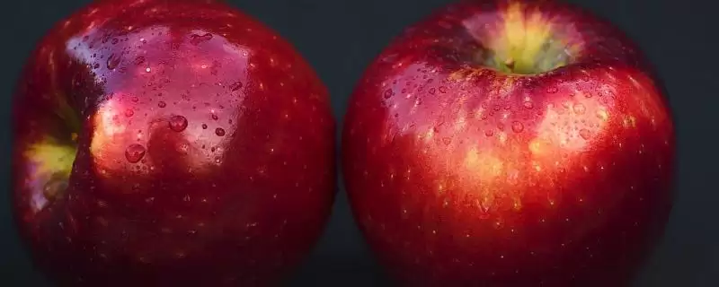 宇宙脆苹果有什么特点,用冰箱冷藏可保鲜1年-会东网