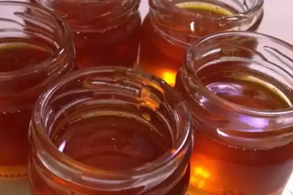 益母草蜂蜜简介，是蜜蜂采集益母草花蜜酿成的插图3