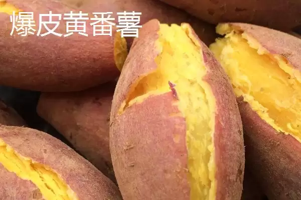 广东省高州市的特产，储良龙眼是著名优良品种插图7
