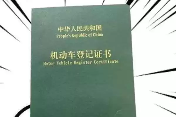 蔬菜卖不出去的情况下怎么办？应对蔬菜滞销要采取哪些有效的解决办法？插图8