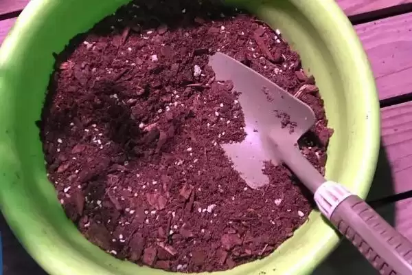 辣椒籽的直接种植问题 ,辣椒籽直接种植后如何保持湿度？插图4