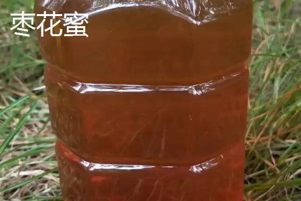 柑橘蜜和枣花蜜哪个好，前者的色泽和口感都更优插图2
