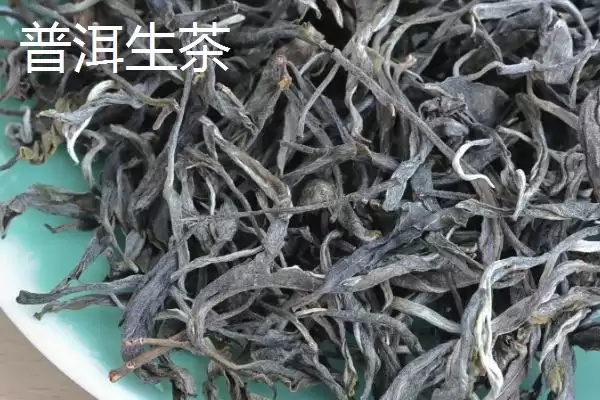 普洱生茶和熟茶的差异对比：颜色和口感不同的独特风味插图7