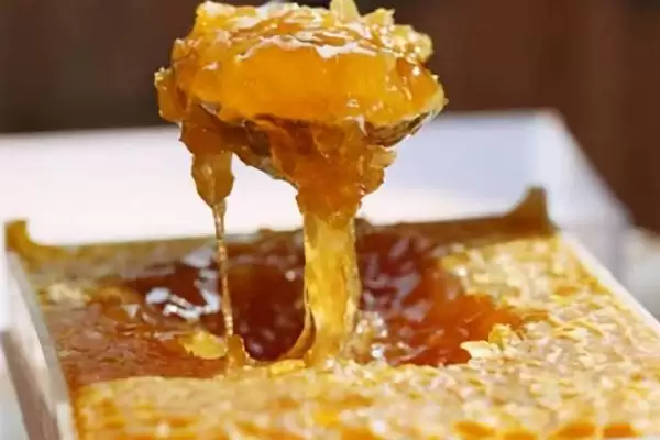 蜂巢蜜里面的蜂蜡能不能吃，可以食用但口感不佳插图2