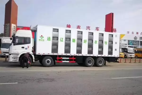 生猪长途运输的方法和重点？养猪要做好哪些运输注意细节？插图1