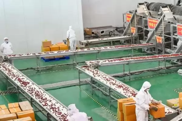 农产品深加工和初加工的差异剖析:加工程度和原料特性的不同插图3 农产品深加工和初加工的差异剖析:加工程度和原料特性的不同插图3