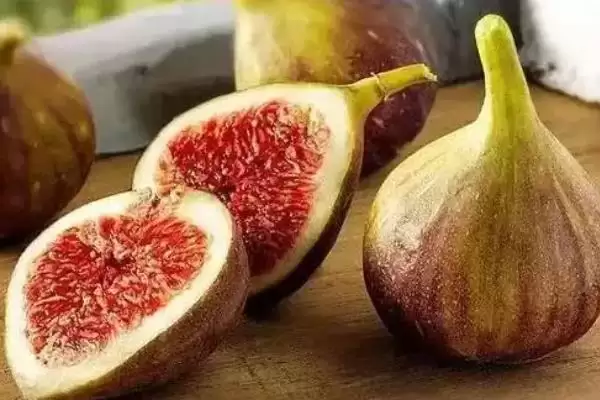 无花果有花吗，无花果有花插图5