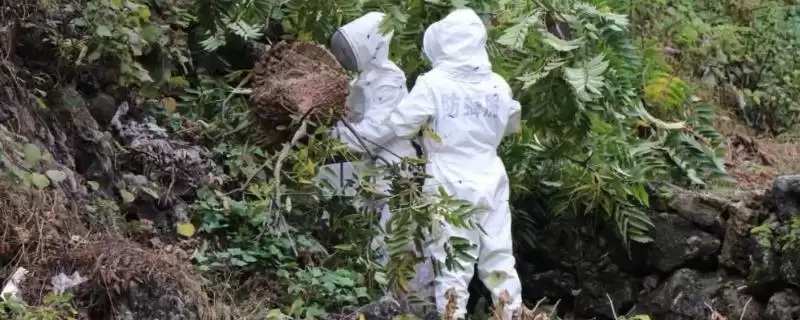 防蜂服的作用，主要是防蜂蛰-会东网