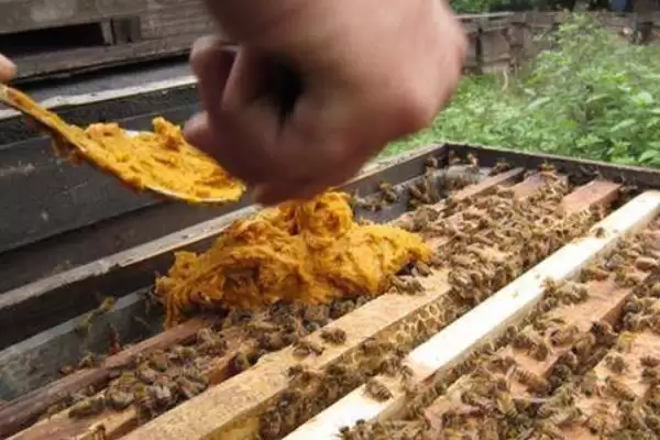 夏季蜂群的管理要点，核心工作是防暑降温插图4