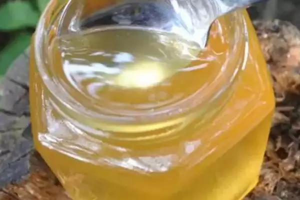 正宗洋槐蜜的特征，通常呈透明的水白色插图2