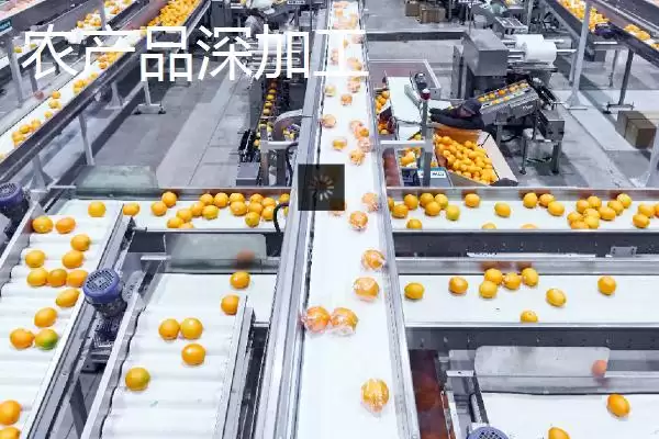 农产品深加工和初加工的差异剖析:加工程度和原料特性的不同插图1 农产品深加工和初加工的差异剖析:加工程度和原料特性的不同插图1