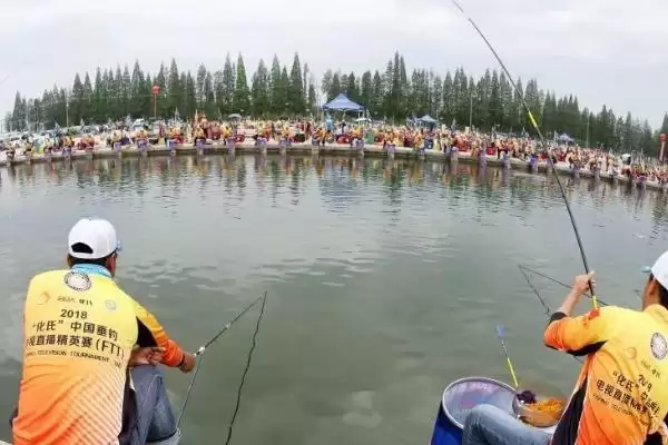 罗非鱼容易钓吗 ,罗非鱼的垂钓难度大不大插图3