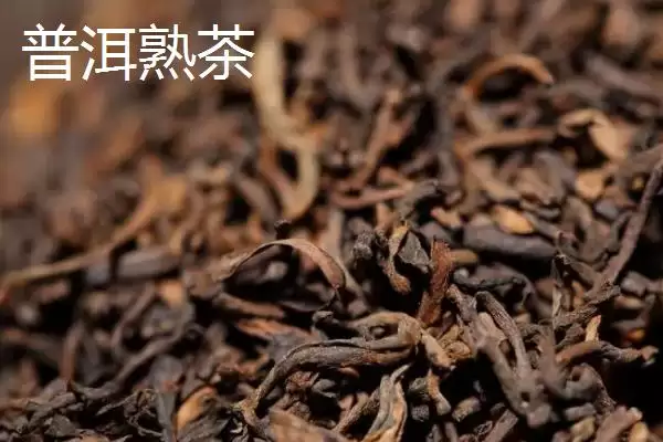 普洱生茶和熟茶的差异对比：颜色和口感不同的独特风味插图6