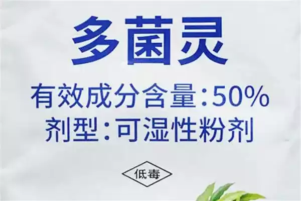 修剪圆锥绣球的方法和重点?修剪圆锥绣球要做好哪些细节?插图2 修剪圆锥绣球的方法和重点?修剪圆锥绣球要做好哪些细节?插图2