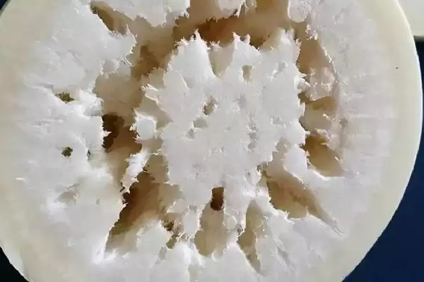萝卜糠心的原因是什么 ,萝卜糠心因水分和贮藏何起插图2
