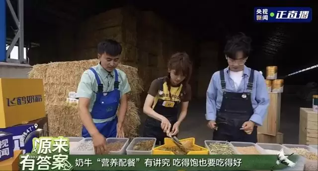 央视聚焦飞鹤北纬 47°，溯源直播引爆四千万流量，见证品质力量插图1