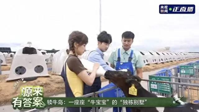 央视聚焦飞鹤北纬 47°，溯源直播引爆四千万流量，见证品质力量-会东网