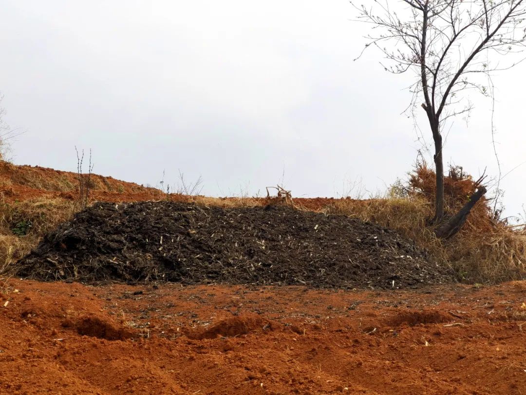 会东春播新动向:农家肥成 “香饽饽”,助力农业新发展-会东网