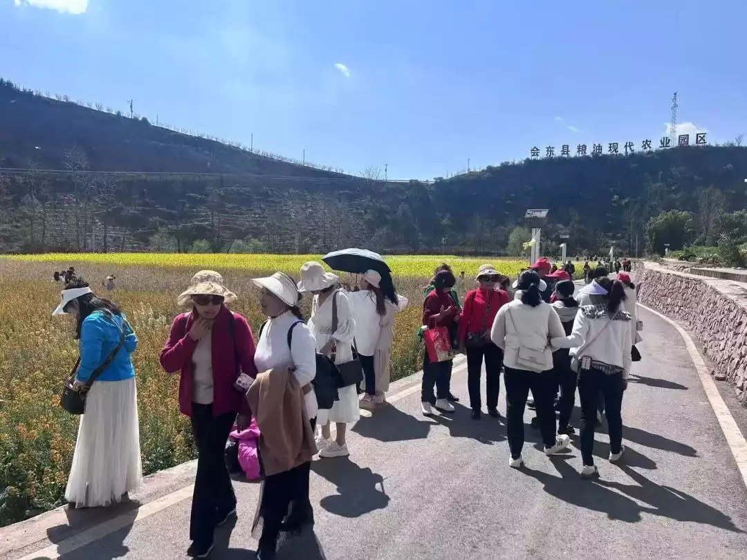 会东中和村：农文旅融合，绘就乡村振兴绚丽画卷插图1